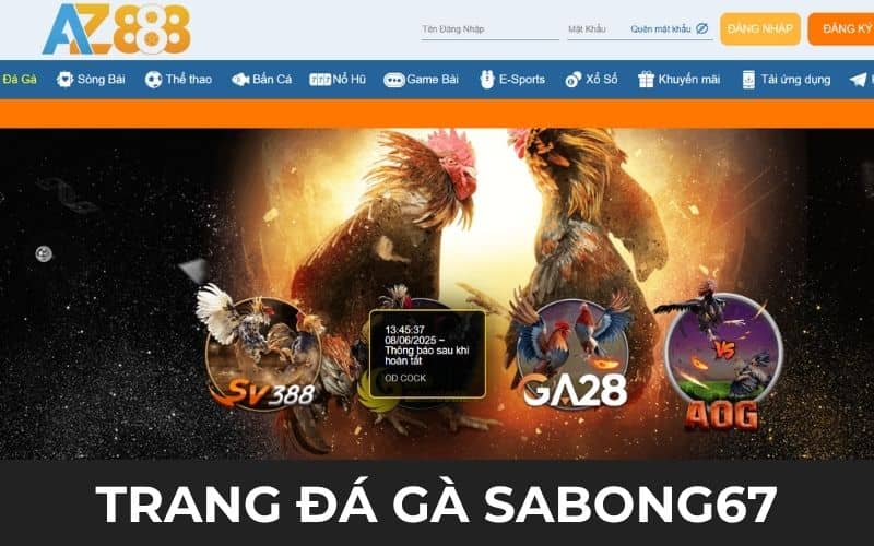 AZ888 thuộc hệ thống trang đá gà uy tín tại Campuchia AZ888 thuộc hệ thống trang đá gà uy tín tại Campuchia