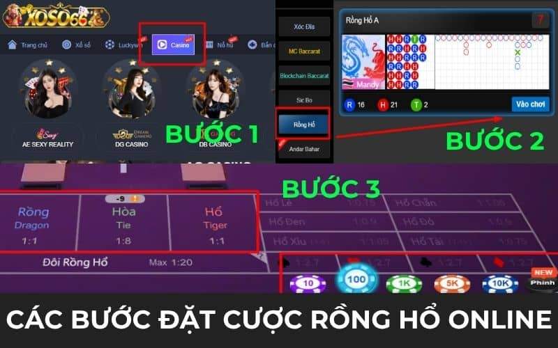 Các bước đặt cươc trong Rồng Hổ online Các bước đặt cươc trong Rồng Hổ online