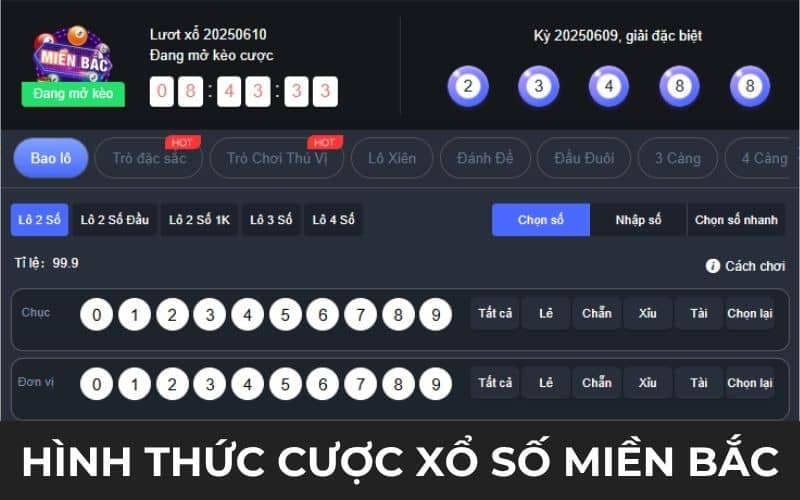 Cá hình thức cược xổ số miền Bắc tại XOSO66 Cá hình thức cược xổ số miền Bắc tại XOSO66