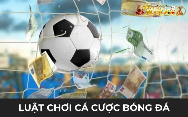 Luật chơi cá cược bóng đá được quy định tại XOSO66 Luật chơi cá cược bóng đá được quy định tại XOSO66