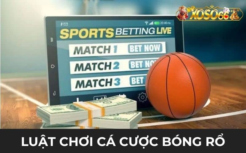 Luật chơi cá cược bóng rổ dựa trên quy định tổ chức thể thao Luật chơi cá cược bóng rổ dựa trên quy định tổ chức thể thao