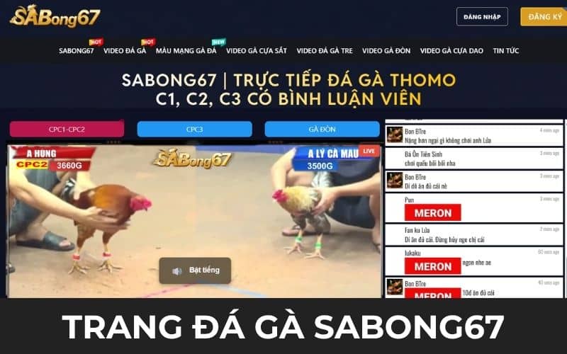 Sabong67 là trang đá gà uy tín mới ra mắt Sabong67 là trang đá gà uy tín mới ra mắt