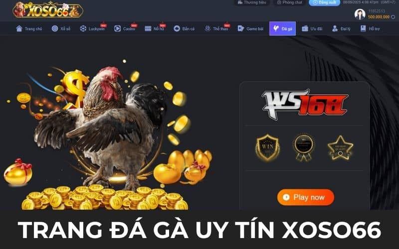 XOSO66 đứng đầu danh sách là trang đá gà uy tín XOSO66 đứng đầu danh sách là trang đá gà uy tín