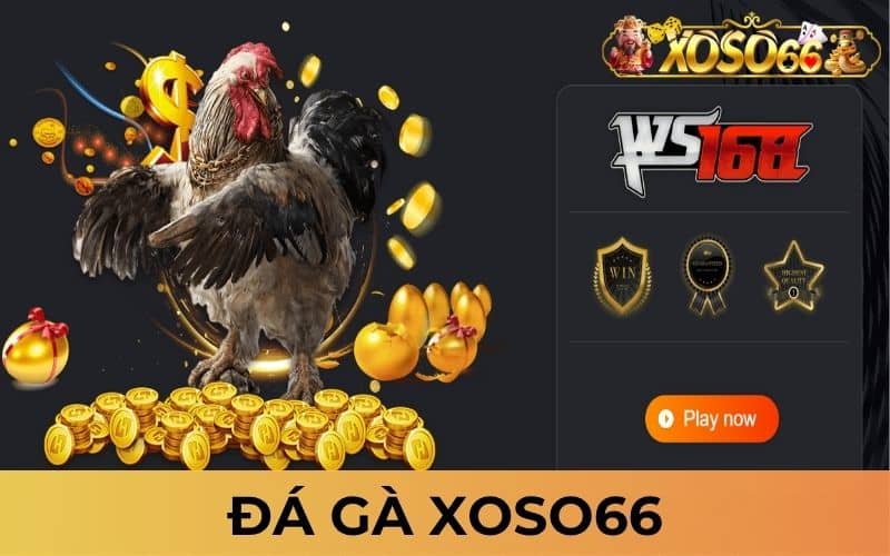 Đá gà XOSO66 là sản phẩm cá cược đá gà trực tuyến Đá gà XOSO66 là sản phẩm cá cược đá gà trực tuyến