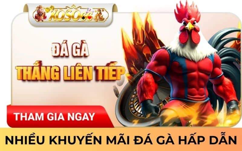 Nhận được nhiều khuyến mãi đá gà khi tham gia Nhận được nhiều khuyến mãi đá gà khi tham gia