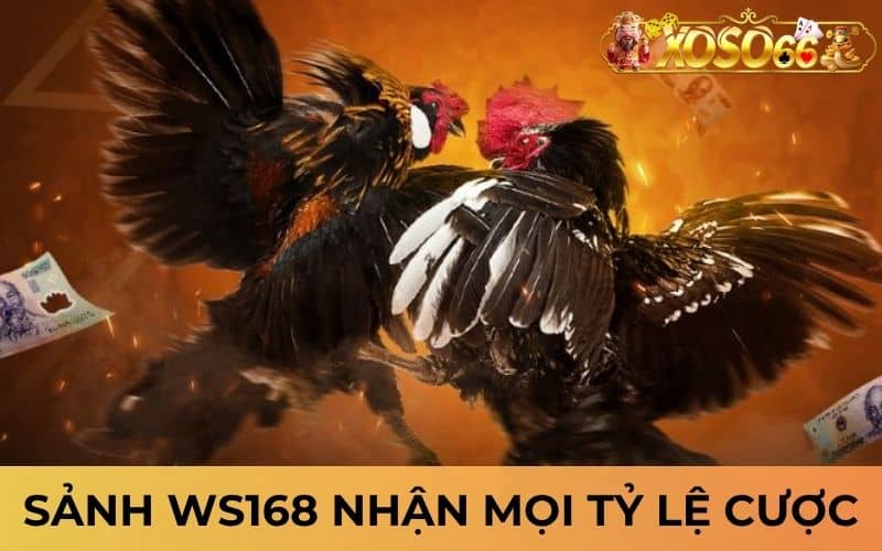 Sảnh cược WS168 tại XOSO66 nhận mọi tỷ lệ cược Sảnh cược WS168 tại XOSO66 nhận mọi tỷ lệ cược